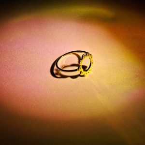 Bague Insekan Bronze Doré - Ombre Claire