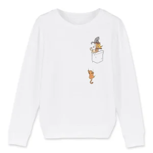 Pull enfant - "Chattons en poche"