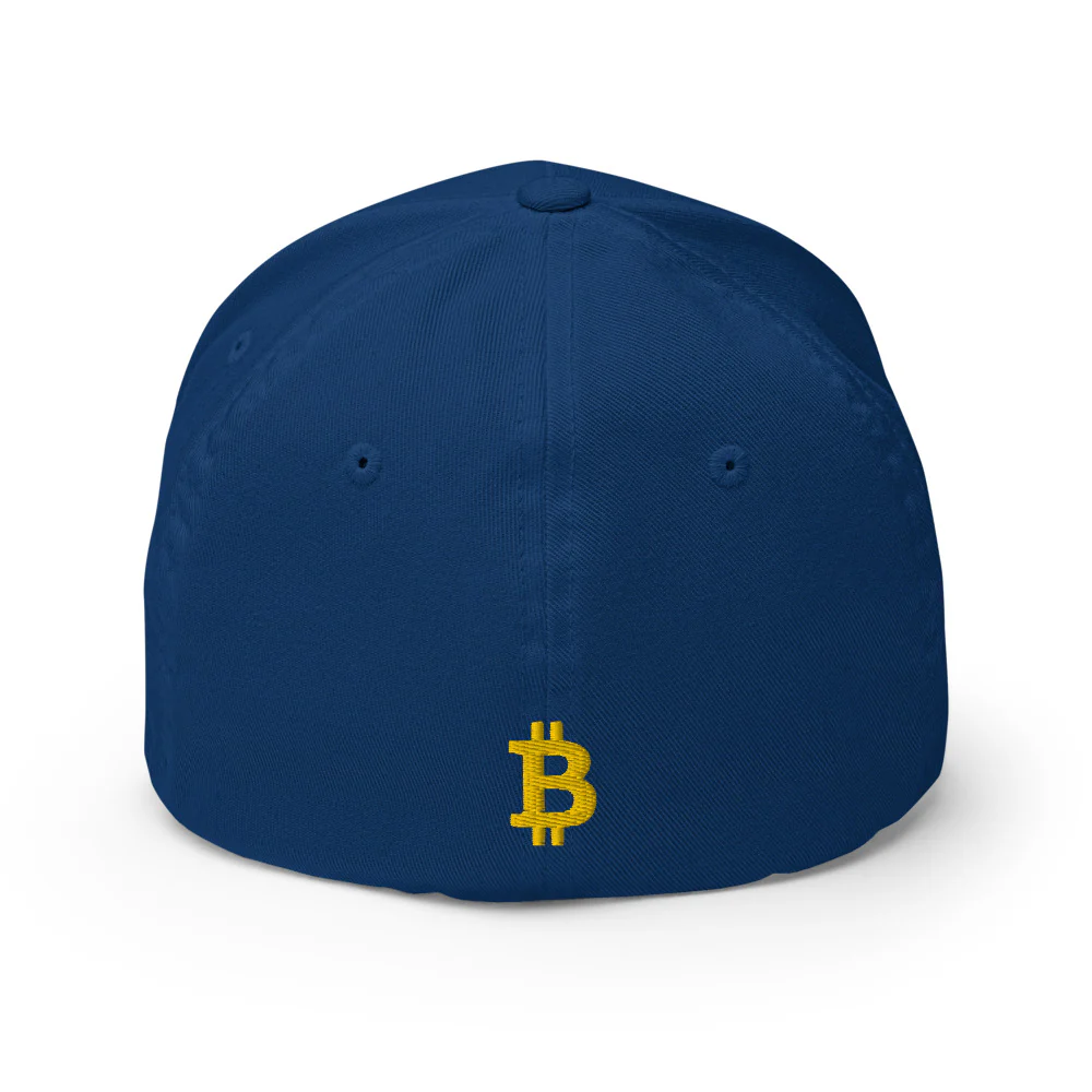Casquette FLEXFIT brodée - BITCOIN en 3D PUFF – Image 9